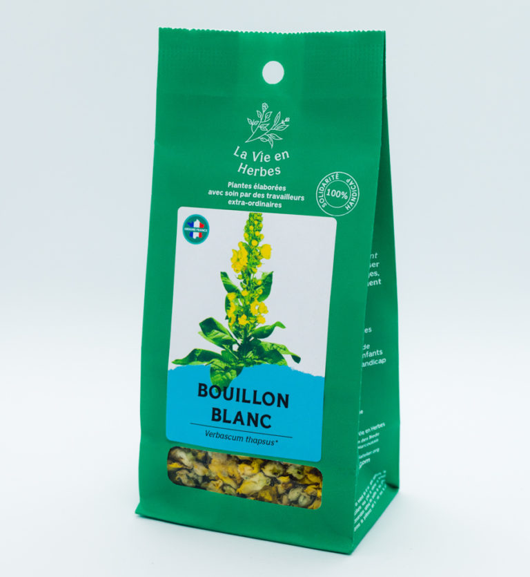 Bouillon blanc La Vie en herbes