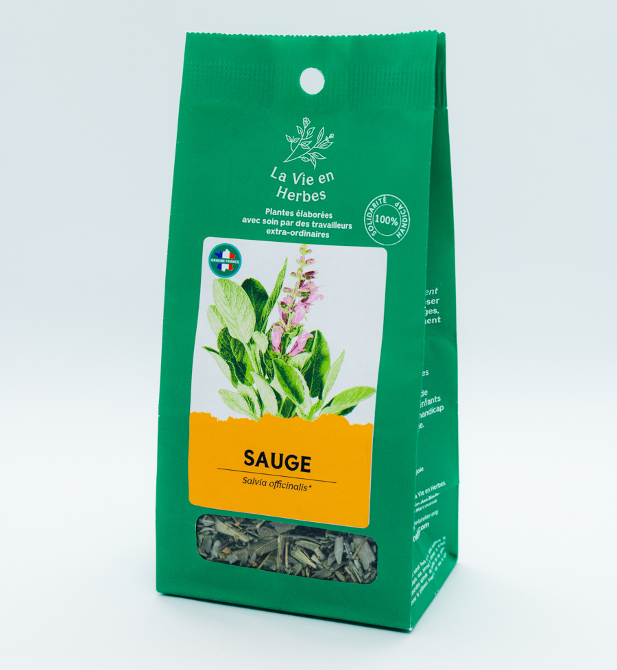 Sauge officinalis, tisane