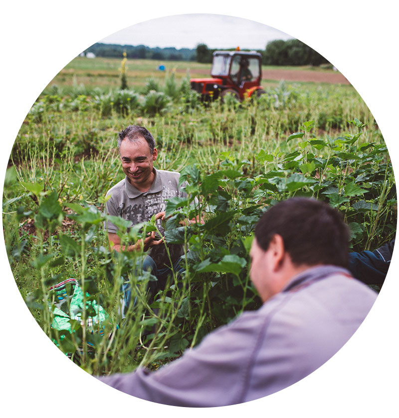 valeurs la vie en herbes